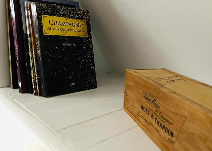 Vakantiehuis Gite De Charme Au Calme Terrasse Prive Proche Maisons De Champagne Epernay Reims